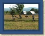 2006 beim MC Schluckspecht 017 * 1600 x 1200 * (724KB)